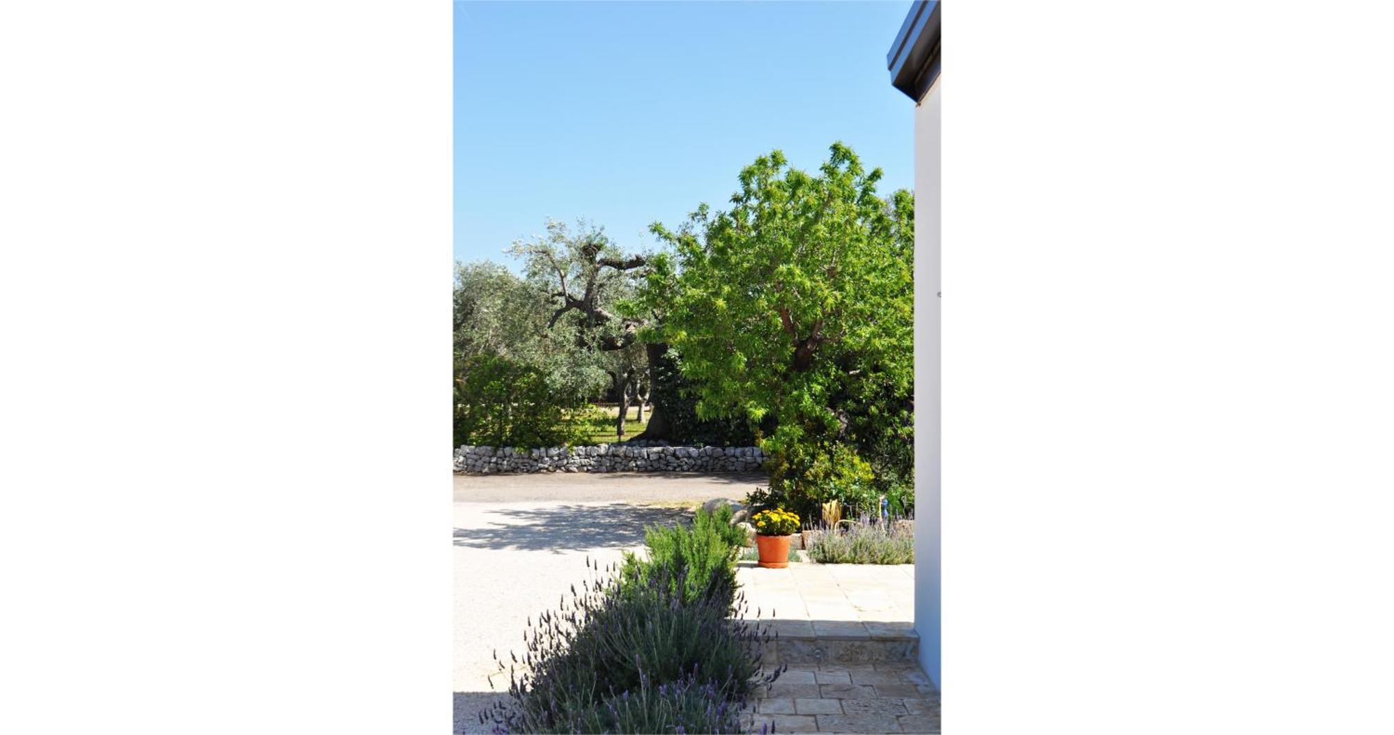 Casale Petrarolo Bed and Breakfast Monopoli Buitenkant foto